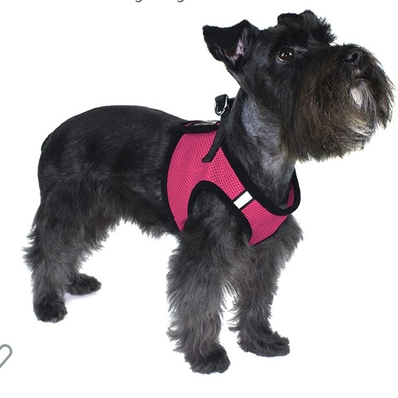 NWOT Boston Mesh Harness + Built-in Hook & Loop Fastener with reflector strips - Picture 2 of 7